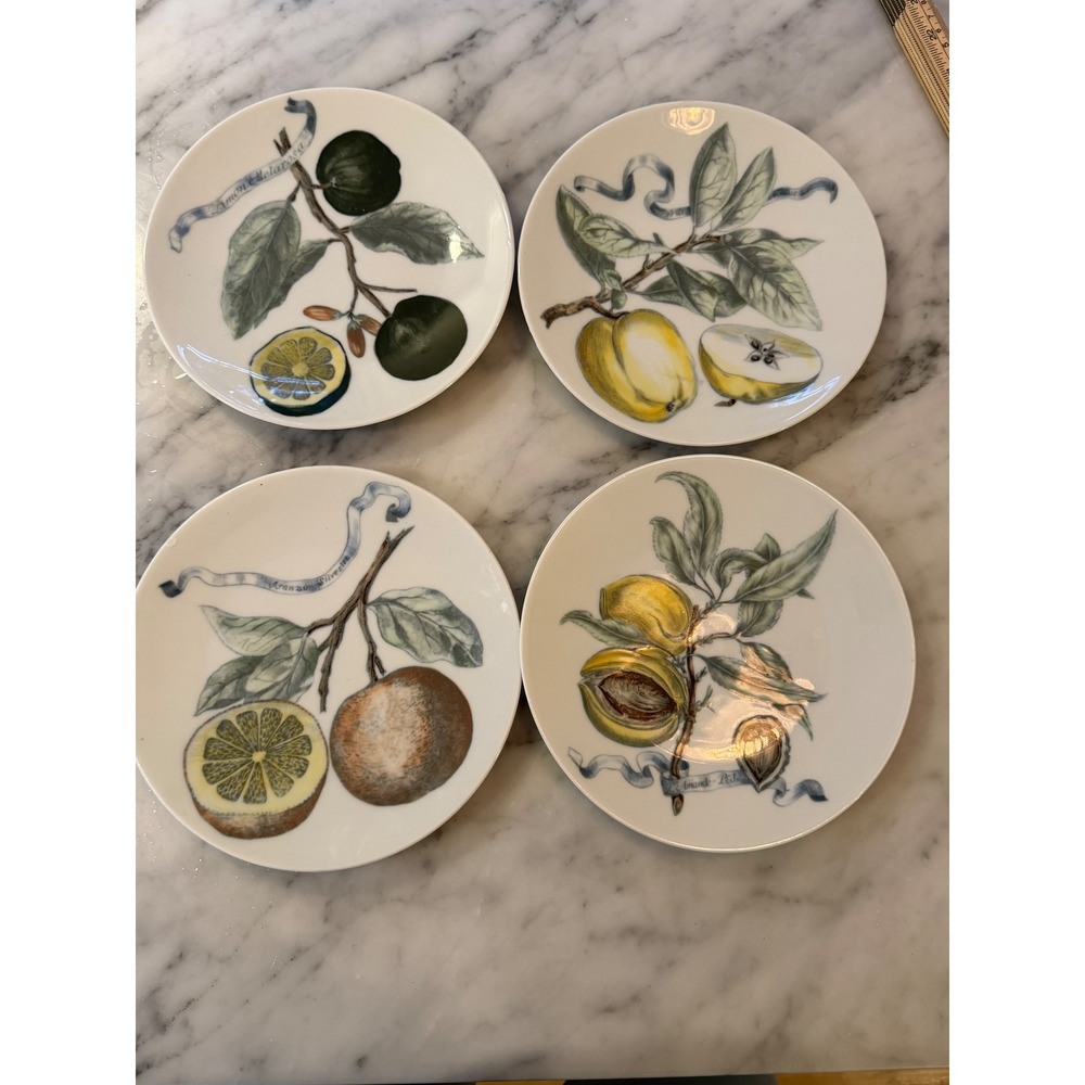 VTG MCM 60s Bareuther Waldsassen Bavaria Germany Fruit Plates RARE Set of 4